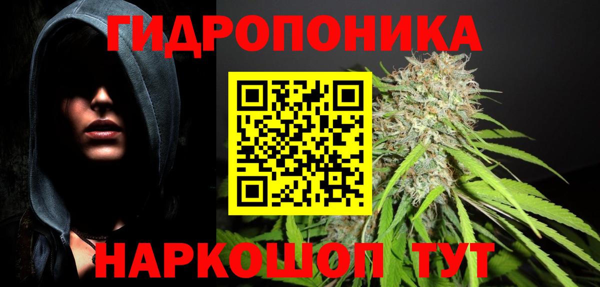 Конопля гибрид  Канабис White Widow  Канабис сатива  Горячий Ключ  Вход с VPN  Конопля THC 21% 